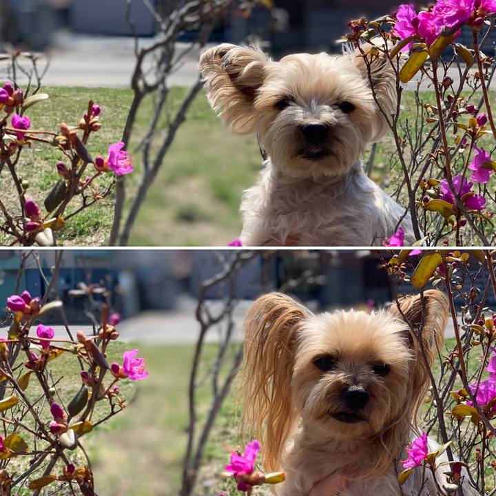 740c07e0 4838 415f aa27 7b6ff448d905 1587287827995