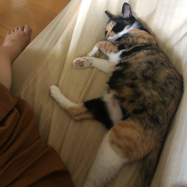 740c2434 9a51 4573 9a3c 01e25f1ab090 1626585173483