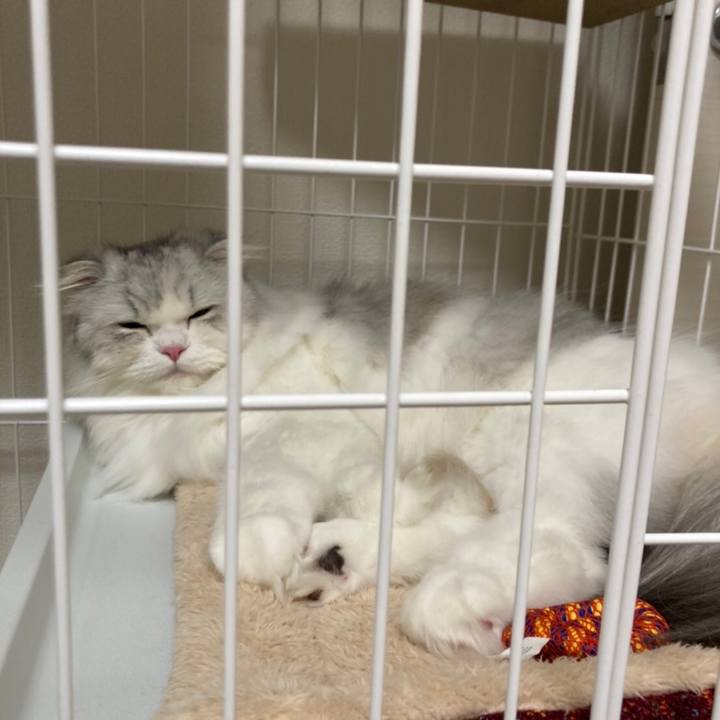 740c5bdb 48fb 4973 90a1 f9e5e43db555 1668593720015