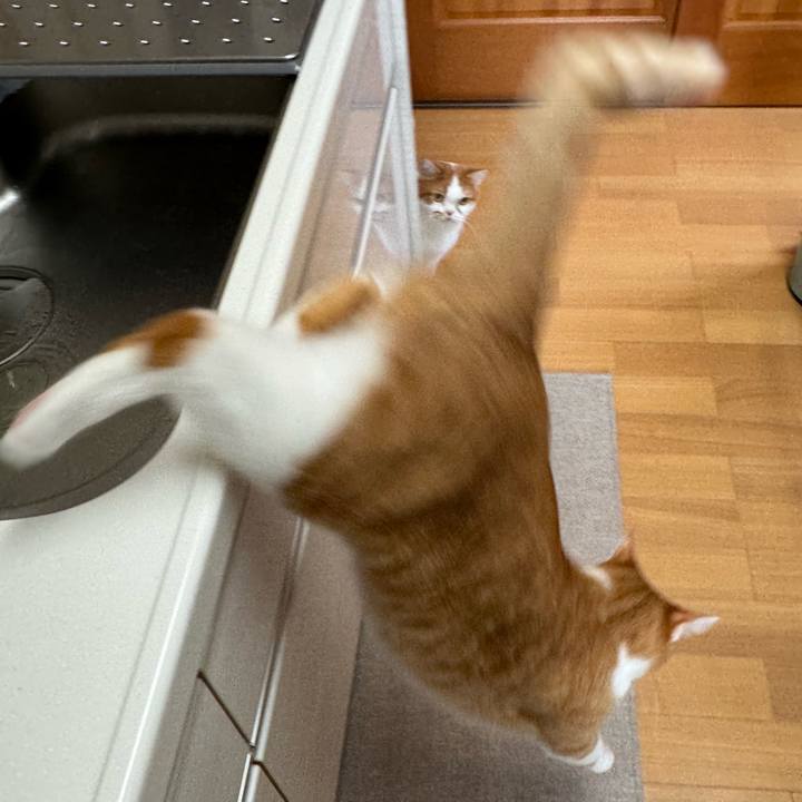 740c726c 49b3 4399 a57c 43a03222e29d 1761705023828