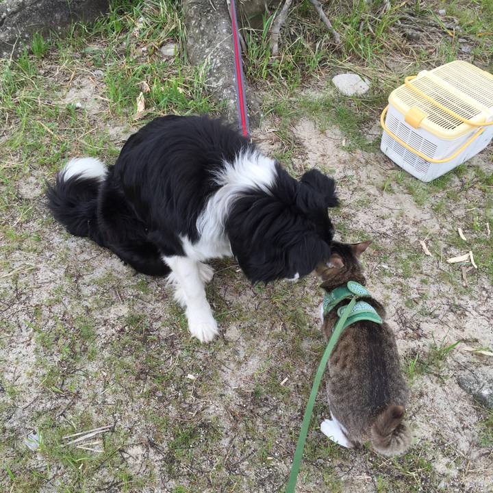 740c910c 7233 41ab 99ce be5bee653aa7 1524460189227