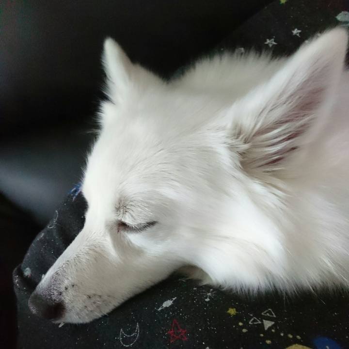 740c9514 4e6d 4aba a253 03157e043862 1511060992003