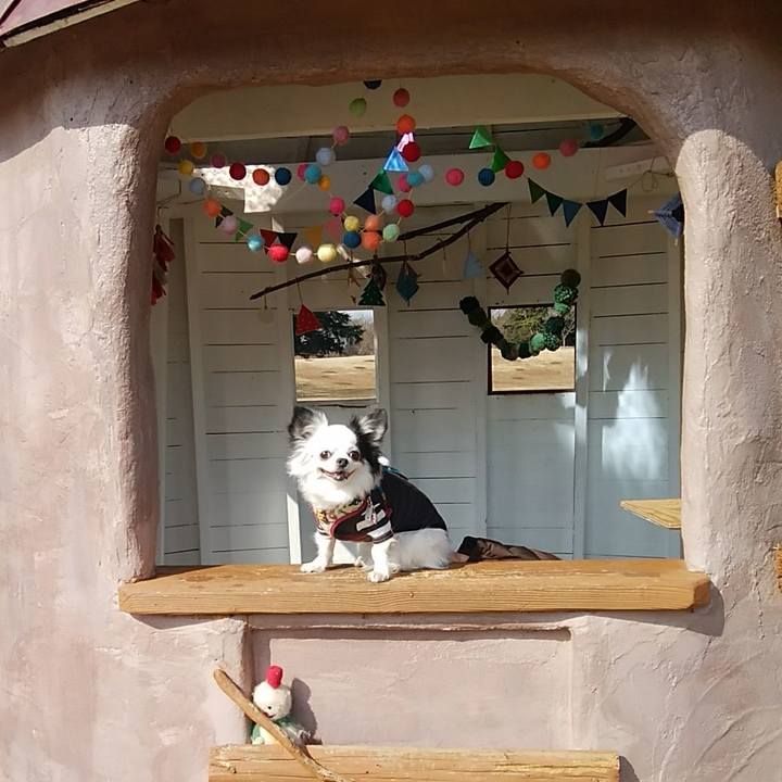 740c9828 33dc 4d4f 82f5 5531a1b90df0 1518265144242