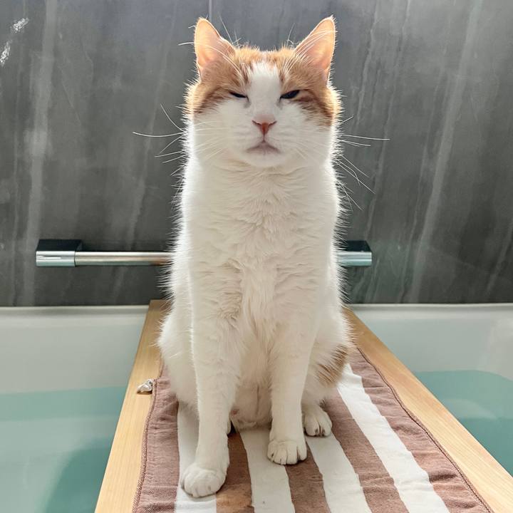 740ce567 7c01 4216 867c 78f3106fd645 1772872010132