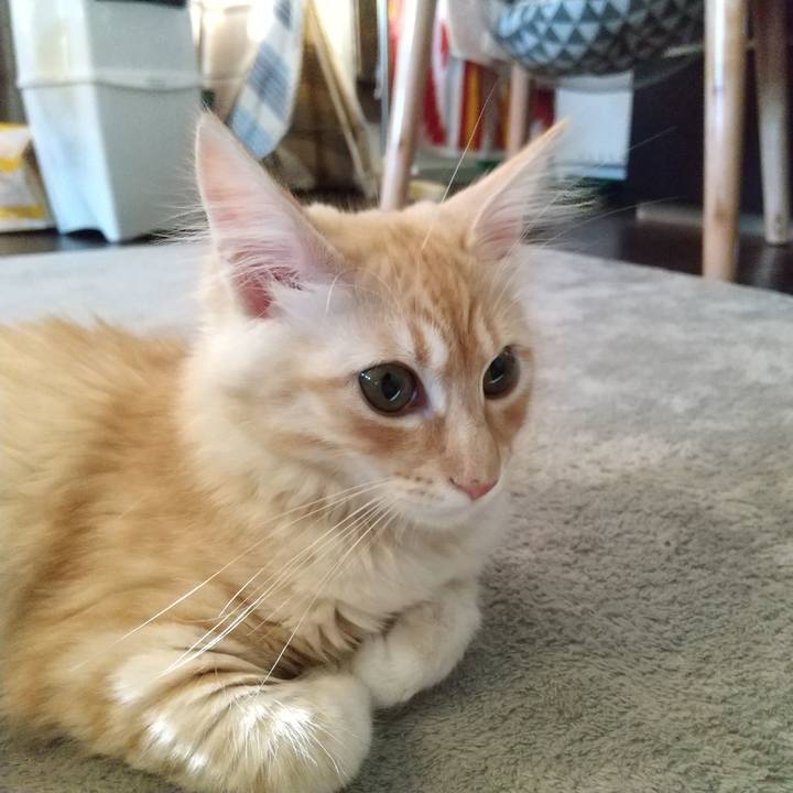 740cfeb3 b9f9 4244 b7a3 7884e417dd1b 1610152822501