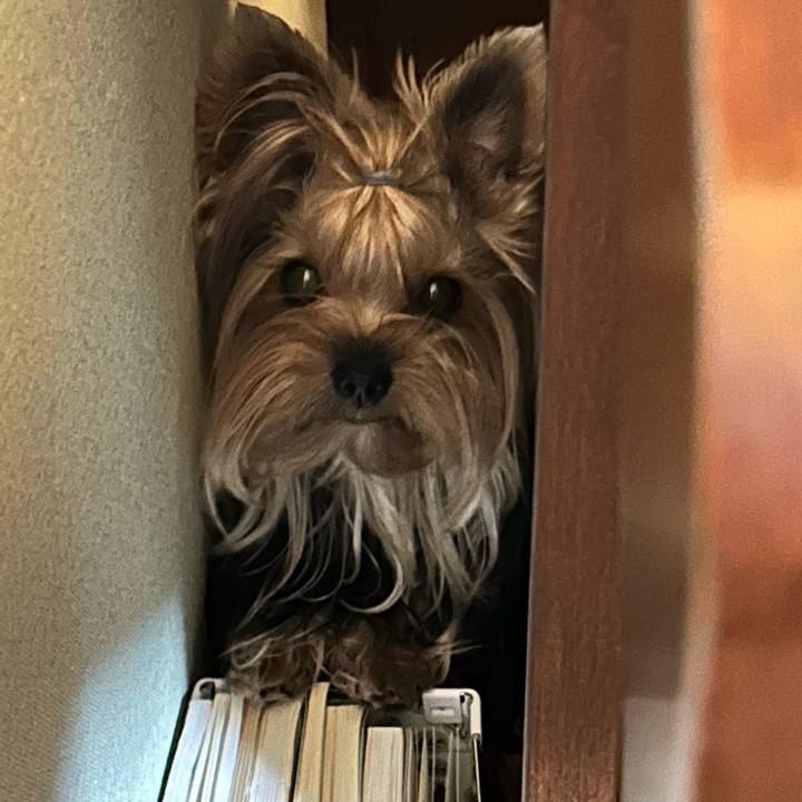 740d3453 e6ad 42a9 b12d 92d79b542a41 1726287061153