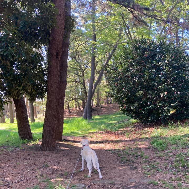 740d3841 3508 426c 9ea8 eab450a7b7d2 1744771148325