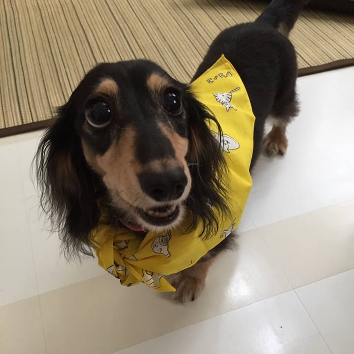 740dce07 53a3 48eb 98bf 7f66a88c647d 1590952438994