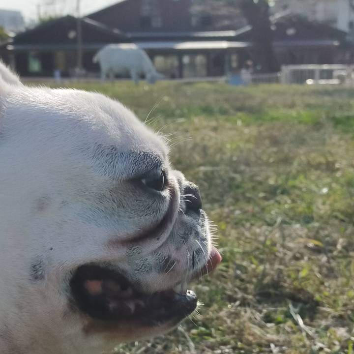 740e12b1 7dfc 4f9b 9f7f bd59e53613fa 1636005674361