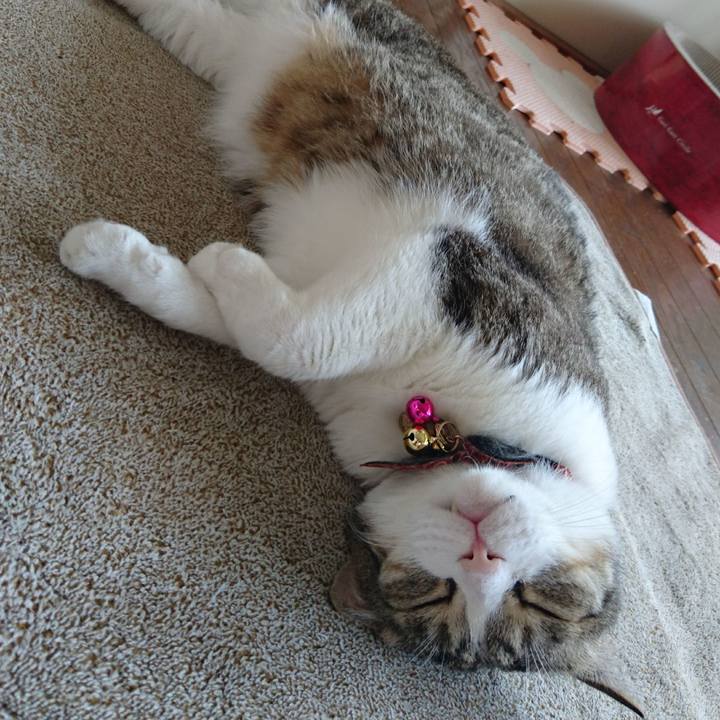 740e2781 ef16 46f5 bcec b272434a39d2 1528500665391