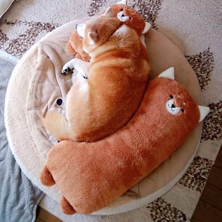 740e4b61 8407 4609 9660 252221d7453f 1580712717294