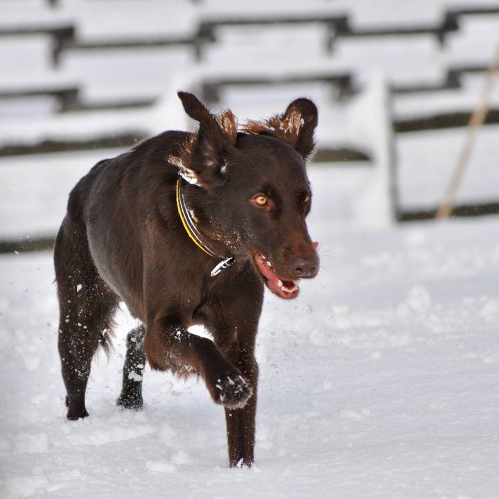 740e73a5 5cc1 4e42 978d 573155982d41 1577932076820