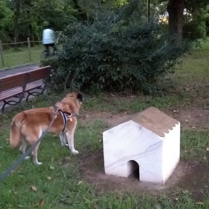 740ea312 af3e 4ff8 8288 405aaa8ca8c0 1564138431402