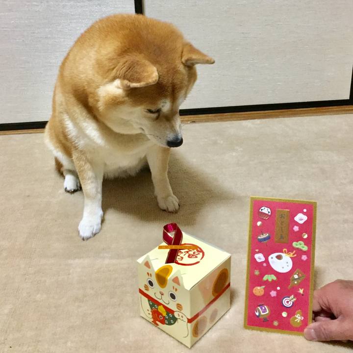 740eb5fc a7d3 49ac b6a8 8e28e81abd14 1577919064763