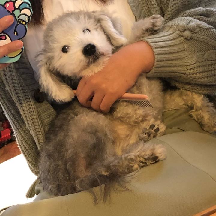 740f06cf 7425 49cb 89ea fb1568f740f3 1603240324112