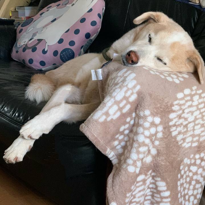 740f1594 f5f9 43dd b80e 854a8f7263bd 1672725109711