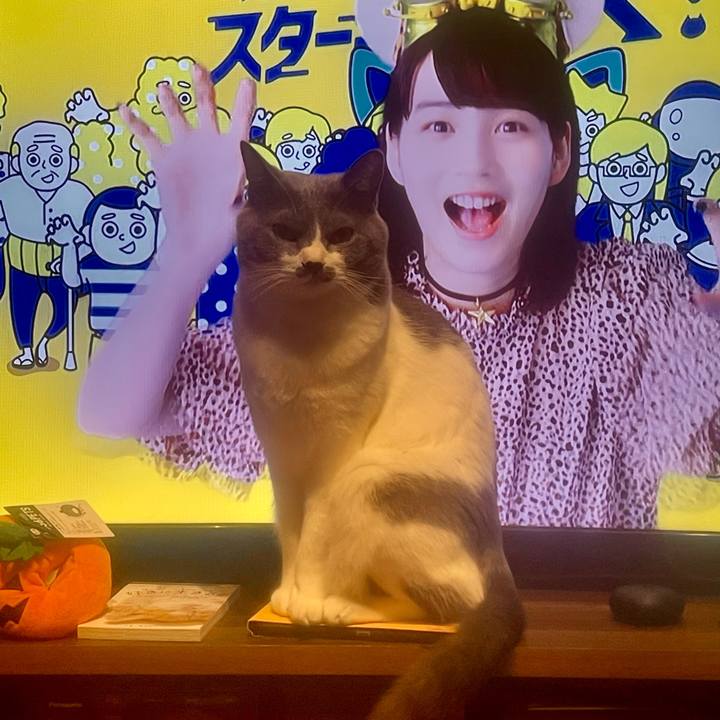 740f33cb 4b71 44dc 9d49 0f0626506107 1666265487534