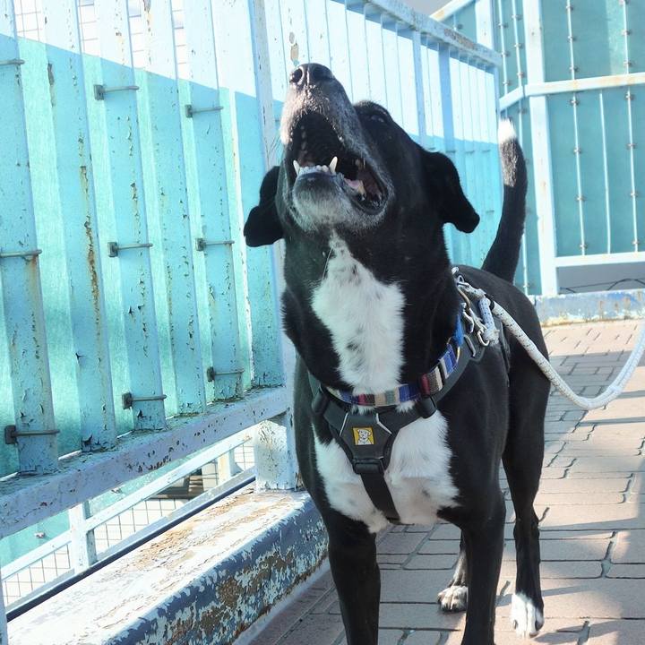 740f4ead 5a6a 450e 949c 73bddab0c96a 1664326140017