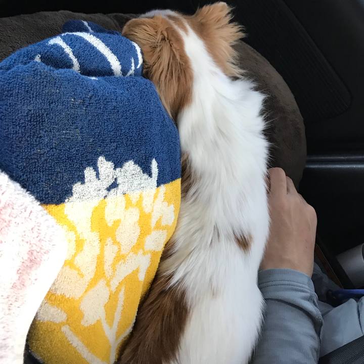 740f5227 23b8 40bd a7d2 d30abec79a4a 1556795407140