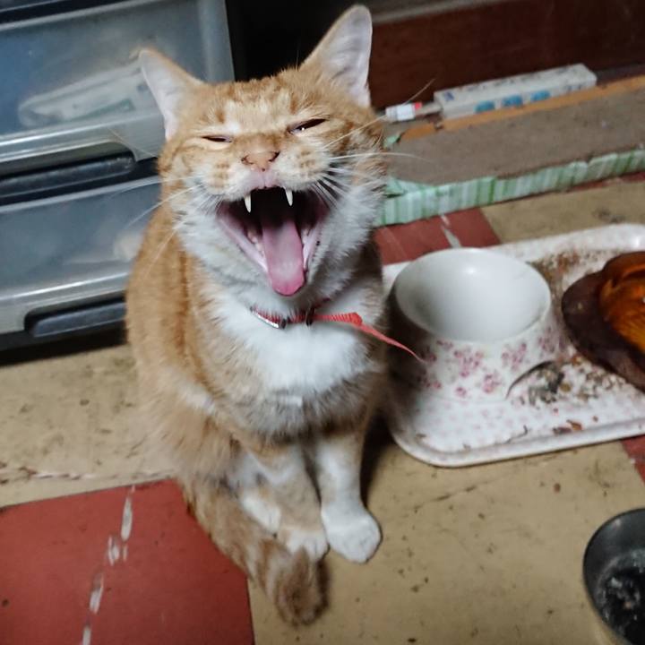 740f5845 2537 446e 8c9d 5dabe5155544 1569873152521