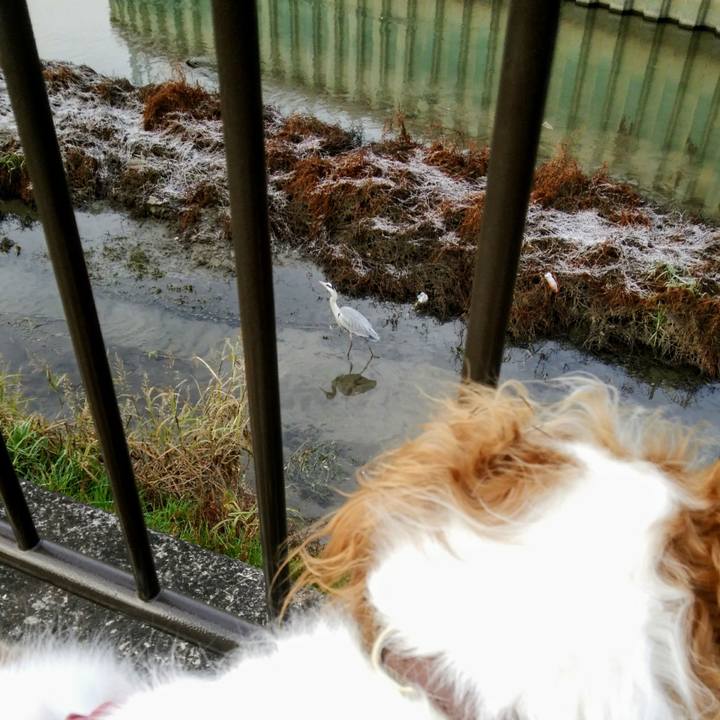 740f85d1 ee79 4151 b2bb a3029f2e2999 1544486922781