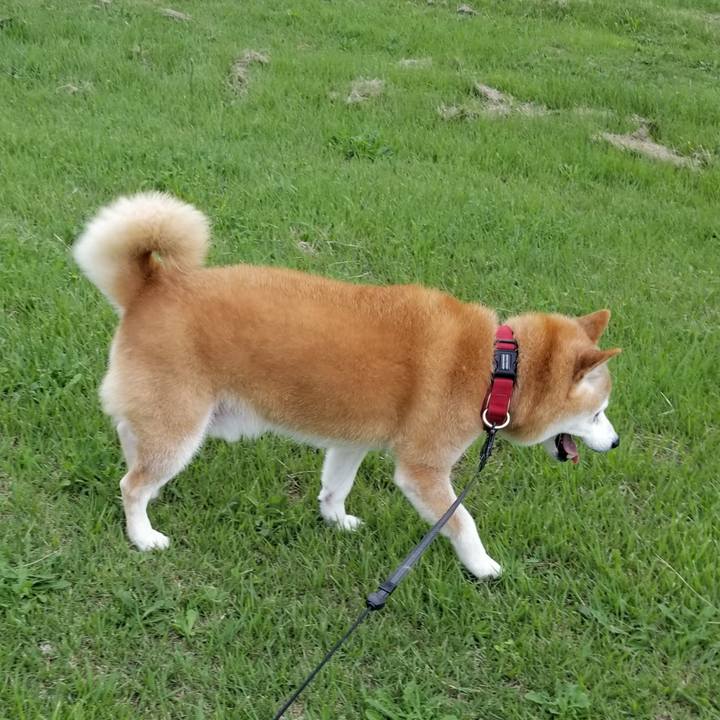 740faff7 85be 41bb b8a9 d9811113272f 1727334226667