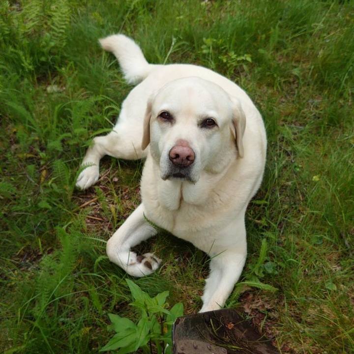 740fba4a 96fe 4764 a88f 3ed83be90280 1718341500360