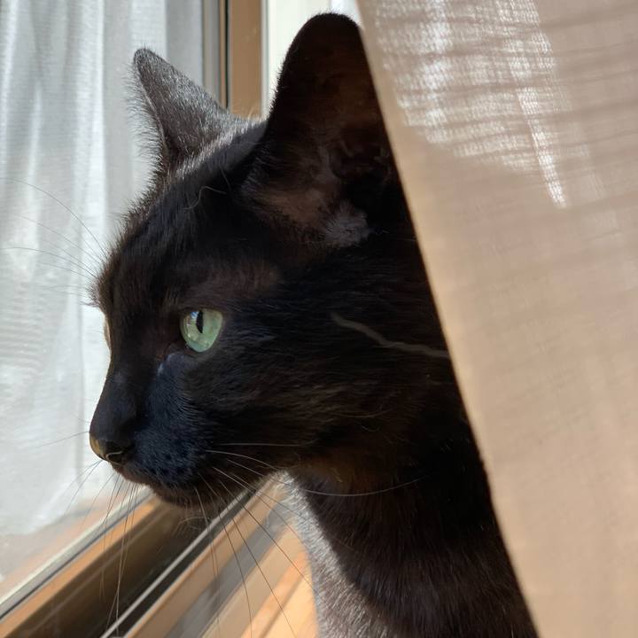 740fbe7f 8761 4892 8f37 66aec0ab2c38 1598664023288