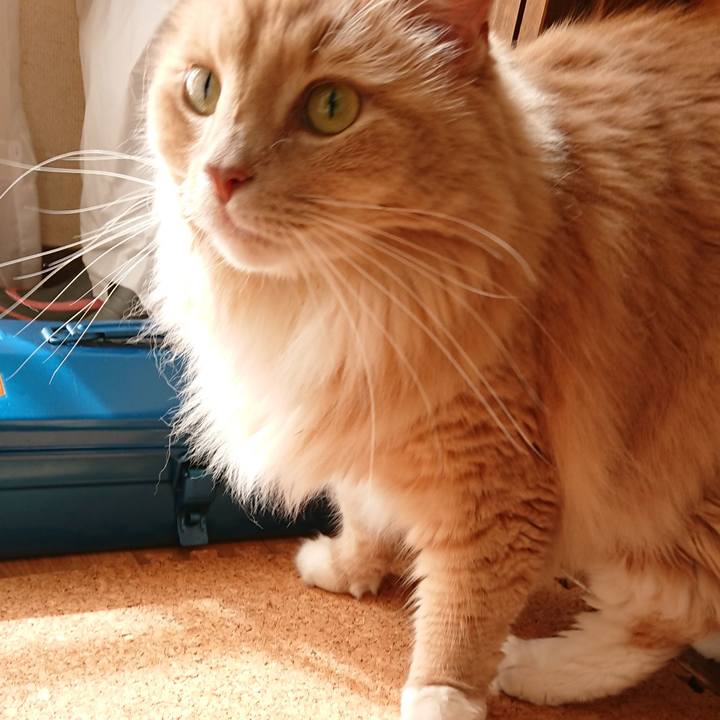 740fe0b8 45c1 48cc 9c3a e23ddc520afe 1538887889252