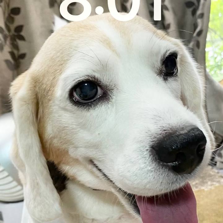 740fe73f 586b 4777 87c9 433f0c390975 1695860017848