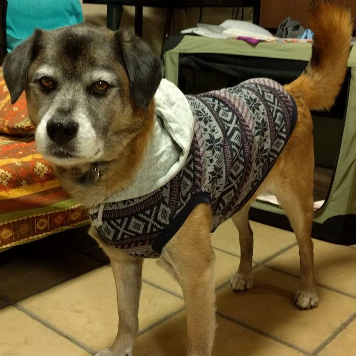 74100bae 5675 484e aa22 5bceadc122af 1517046501061