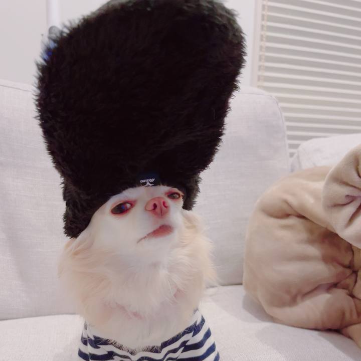 74100db5 4658 4325 a92f d52de41a1b3d 1705492969777