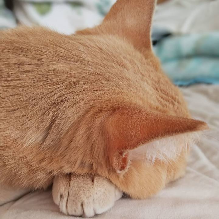 741027cf fac2 4389 8ecf 10840e08ca88 1633991681446