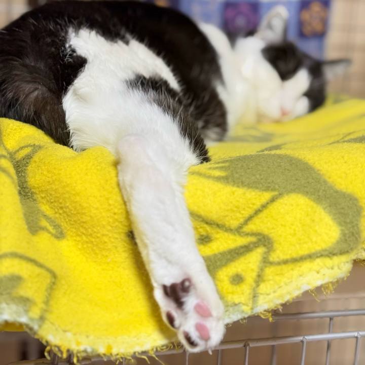 74104548 2b5f 43ec bd10 1b6b72bcc921 1771132224513