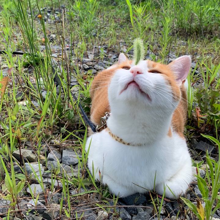 74105ec2 ea0d 4817 9146 4fd4a260eb06 1596090673776