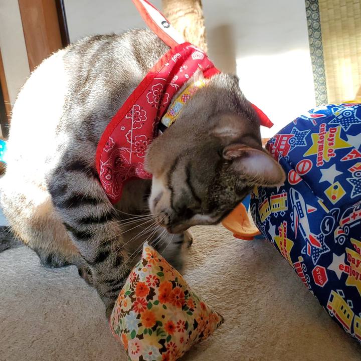 74107d5f 7589 4497 a498 f7cf47bbc3c7 1700671297501