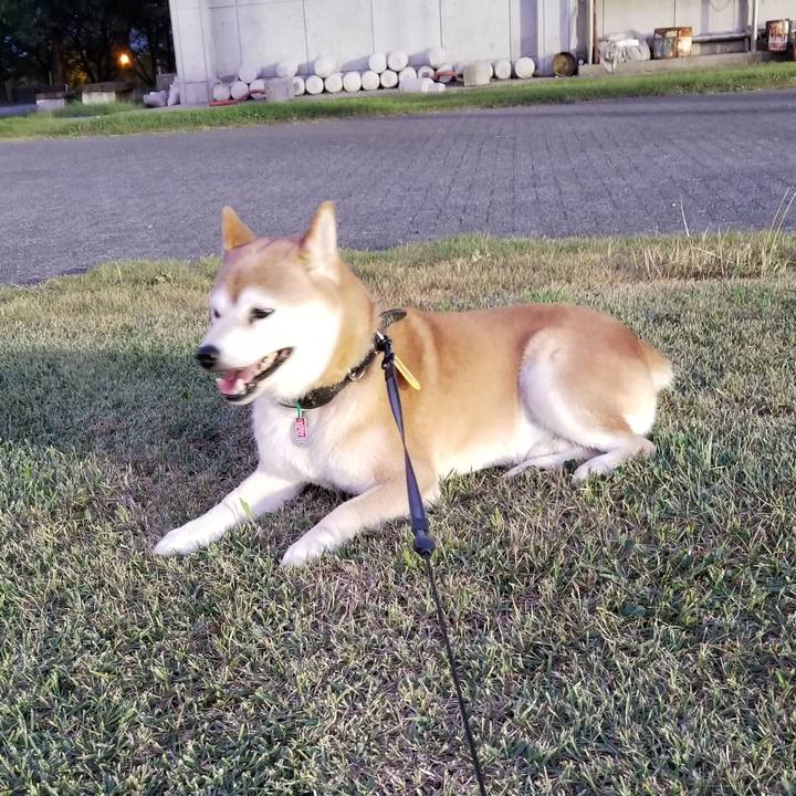 74108421 75f5 4314 8cb1 f205b7619991 1598348381480