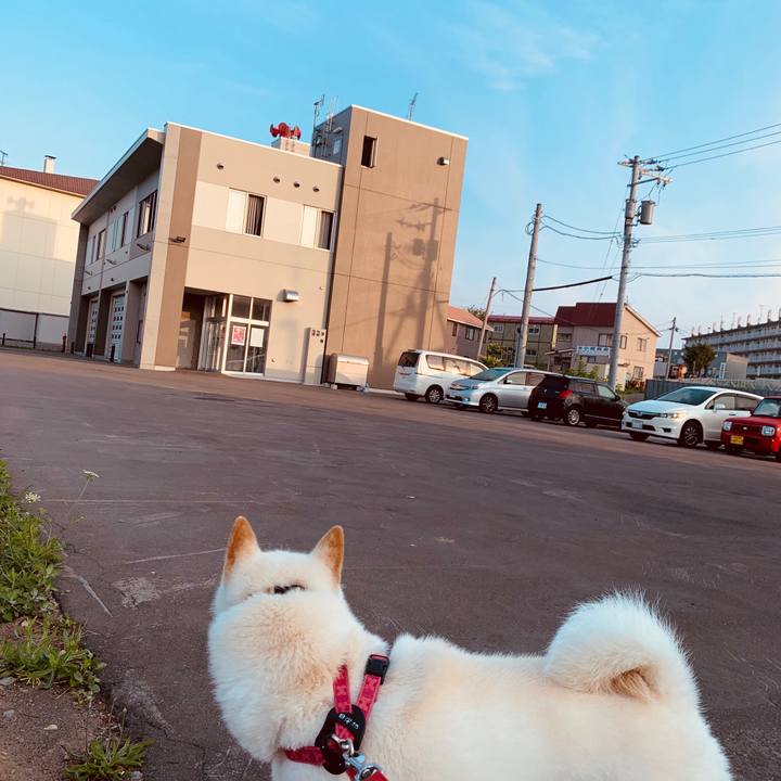 74109eba 6c1f 469b ab0e 469af48090cf 1565041415091