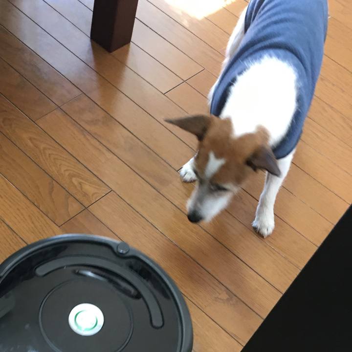 7410b3c9 1f6a 453e a556 1b585318339e 1551188658671