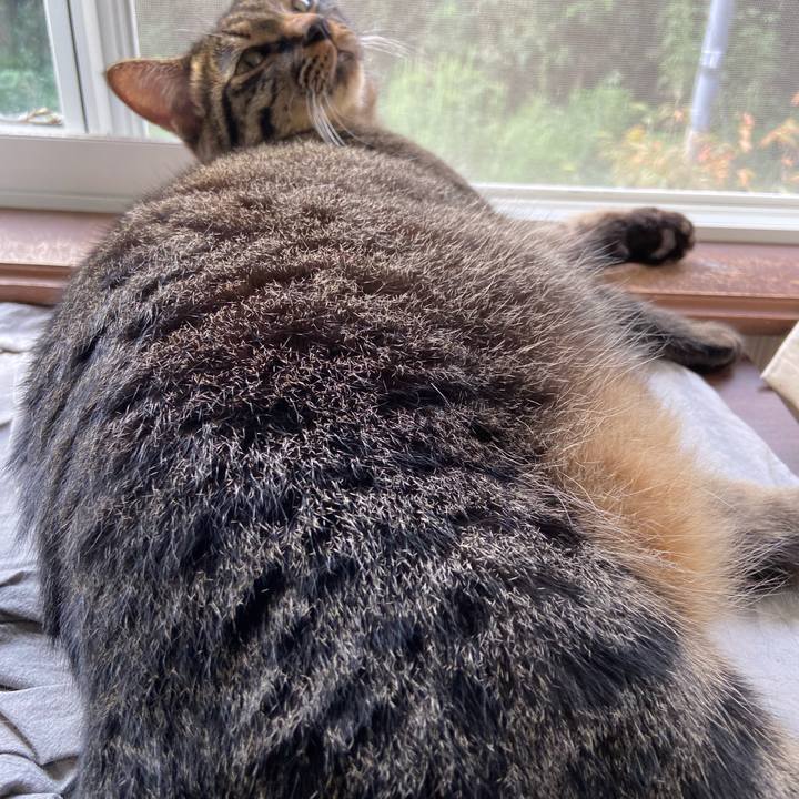 7410c565 dcf9 4fa1 ac64 86cca7946cbc 1631336963487