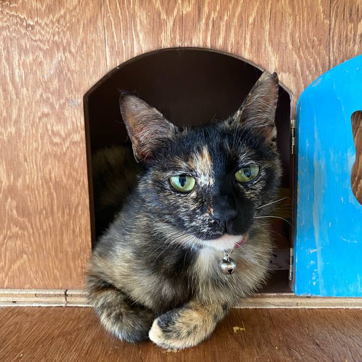 7410ec8c f4fd 460b 9501 7eef346586e0 1717294144250