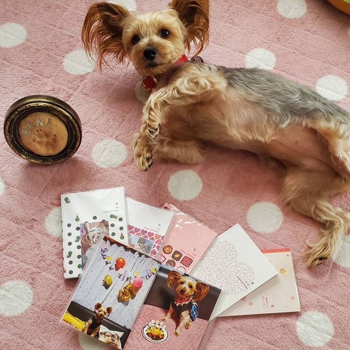 7411083b b3da 4a0d b0f7 0af3872f1ba6 1614048866502