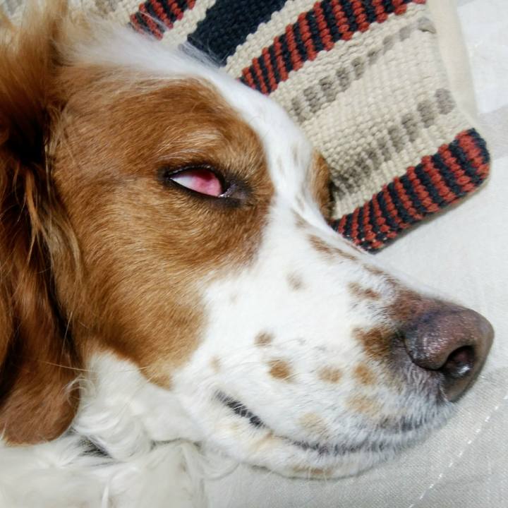 74115bf7 6c40 463e b8ee 9c5043b3ebb0 1557819945493