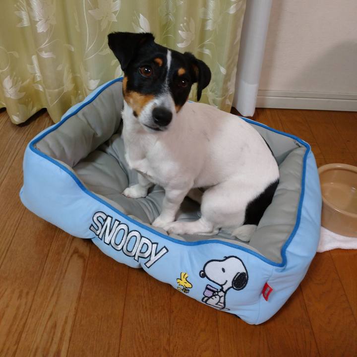 7411a0bc 0762 4192 8762 9986ff0e628a 1562482151446