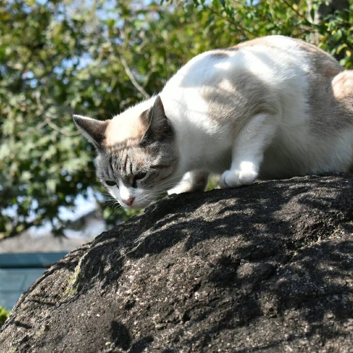 7411b01a 97b1 447f 94ab 1a9f485d4eef 1510375025998