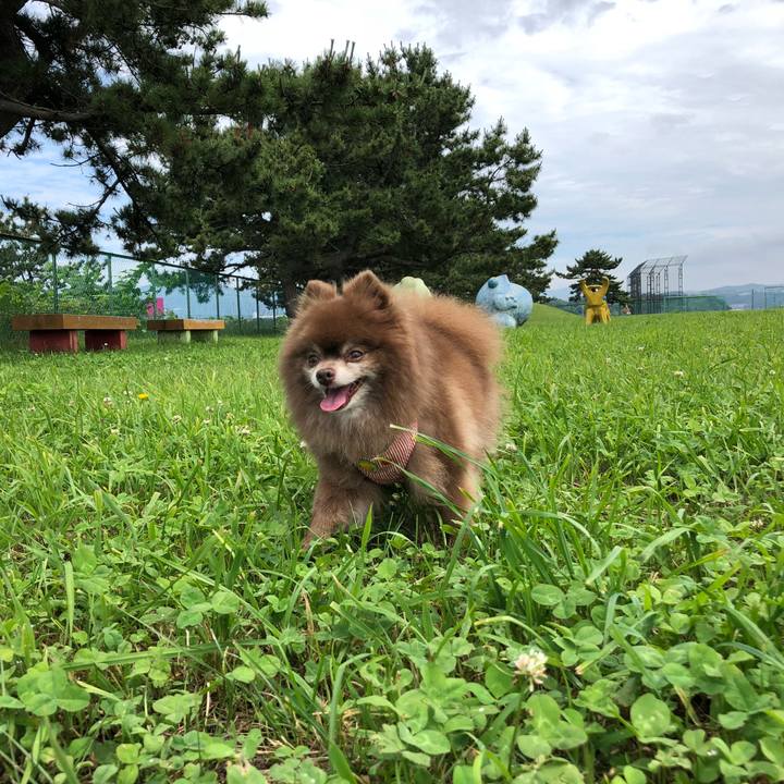 7411dc5b 0e04 4993 8efb abacde313073 1594440527897