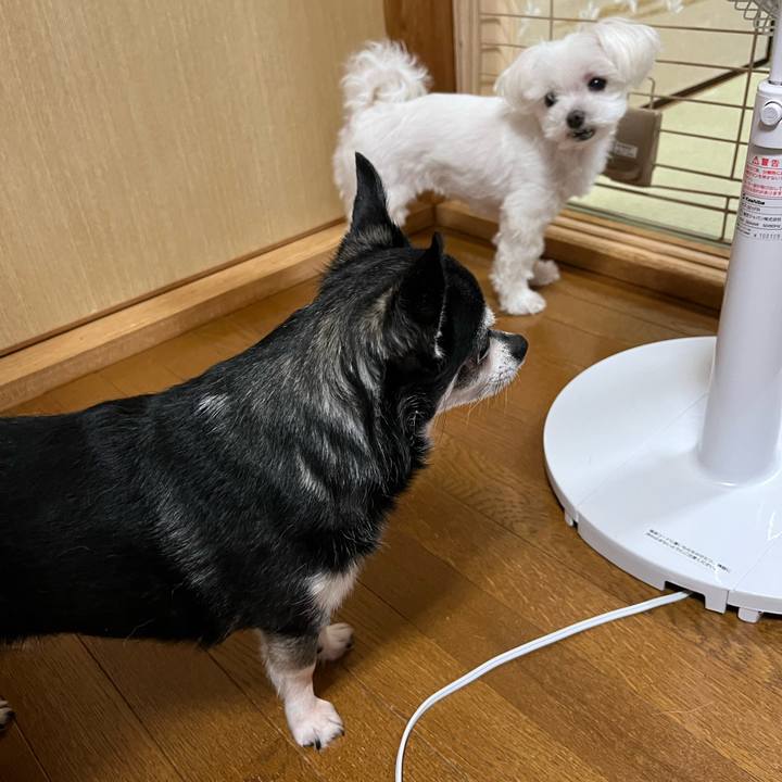 7411f203 6946 4c97 a055 40ee955610d5 1689208803637