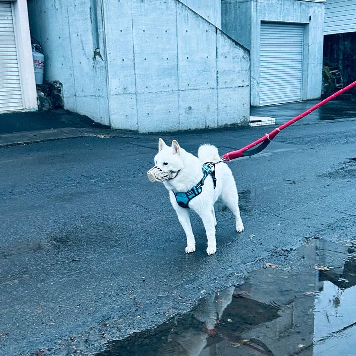 741215b7 74a1 4eff 9785 84e01dac7293 1731621303338