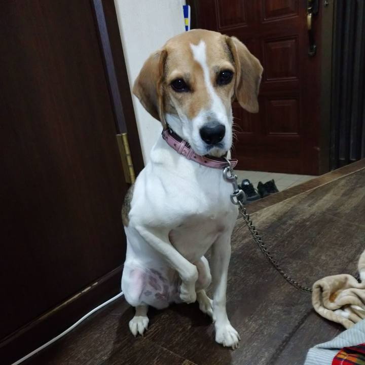 7412224e 3b35 498f a085 b44778a7df69 1602674739176