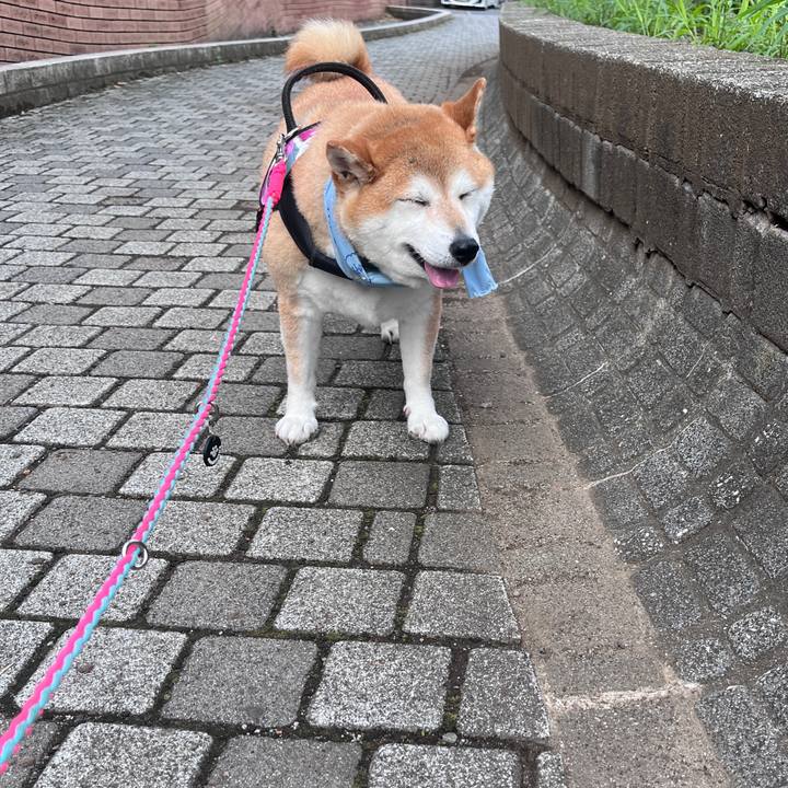 74122708 8af8 4681 8666 977267a300cb 1722377797354